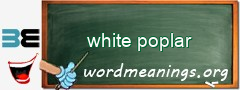 WordMeaning blackboard for white poplar